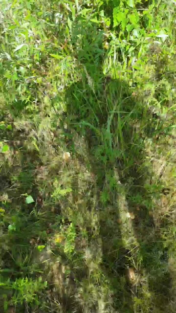 elblover  14-09-2021 Recorded Video Cam